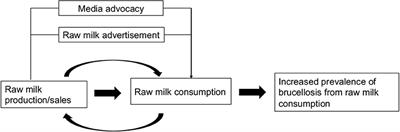 Building the Evidence Base for the Prevention of Raw Milk-Acquired Brucellosis: A Systematic Review